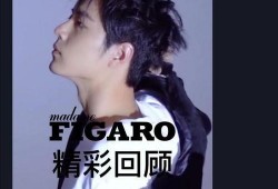 肖战费加罗最新爆料,揭秘明星幕后生活与心路历程