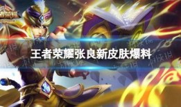 王者下下周新皮肤爆料最新,神秘英雄即将焕新登场！