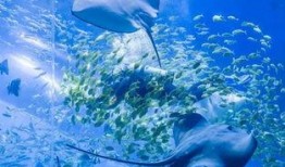 徐州海底爆料事件最新,揭秘背后真相与网络舆论风暴