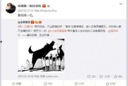 卓伟爆料最新电视剧,神秘新剧来袭，剧情悬疑反转不断