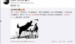 卓伟爆料最新电视剧,神秘新剧来袭，剧情悬疑反转不断