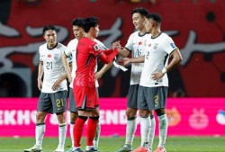 中国国足爆料最新消息新闻,揭秘备战世预赛关键信息与备战策略